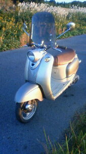 y11/1~ő2,000~OFFN[|z1Nۏؕt eiXNXtIVINO r[m tėpEChXN[ h NA X[N