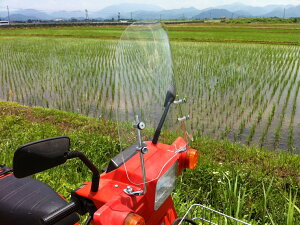 y11/1~ő2,000~OFFN[|z1Nۏؕt eiXNXtIWCX WCUP tėpEChXN[ h NA X[N A_v^[t