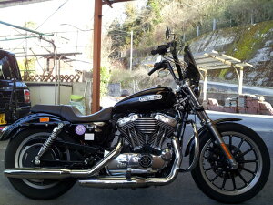 ynƍՃZ[ Iv[gt30OFFz1Nۏؕt eiXNXtIHD n[[ X|[cX^[ [ XL1200L toht ėpEChXN[ [WS-09] h NA X[