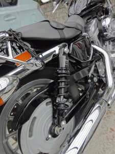 y11/1~ő2,000~OFFN[|z1Nۏؕt HD n[[ XL883L X|[cX^[ [ X[p[[ AWX^uTXyV ATX WW [hEH[N y