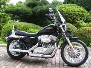 y11/1~ő2,000~OFFN[|z1Nۏؕt HD n[[ XL883L X|[cX^[ [ X[p[[ AWX^uTXyV ATX WW [hEH[N y