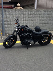 1Nۏؕt HD n[[ XL883N X|[cX^[ ACA AWX^uTXyV ATX WW [hEH[N y