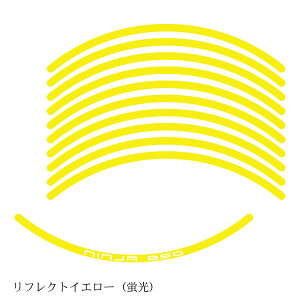 y11/1~ő2,000~OFFN[|zXebJ[ KAWASAKI Ninja400^250 tNgCG[