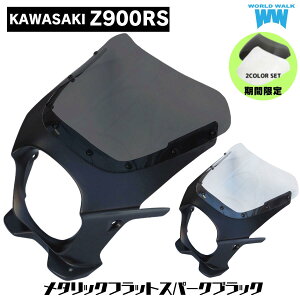 ynƍՃZ[ KjbNv[g10OFFzXN[(NA/X[N)2Ft h Z900RSprLjJE Abp[JE ^bNtbgXp[NubN AEROXN[