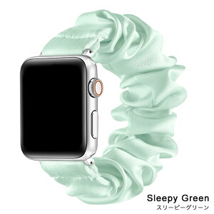 �y�A�b�v���E�H�b�`�o���h�v���[���g�� �z �A�b�v���E�H�b�` �o���h �i�C�g���[�v �V���V�� �V���N ������p apple watch �x���g 42mm 41mm 40mm 11 10 9 8 se3 �S�T�C�Y �S�V���[�Y �Ή� ���킢�� ���f