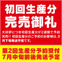 【5月下旬発売】LYZER製『LEDルームランプ』新型RAV4MXAA5#/AXAH5#(H31.4-)【5700K/ナチュラルホワイト/昼白色】【NW-0036】