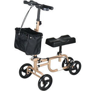 OsAsA܂肽ݎԈ֎qAБnrtAg̏QҁAzC[u[LtAБsAƒ߉\A藧AvȏAAtA