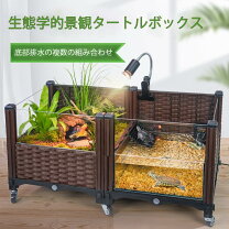 楽天市場】爬虫類 ケージ セットの通販