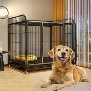 ^ Q[W  - Q[W t ybgQ[W LX^[tybgP[W  Q[W ^ pP[W ybgQ[W  ̃Q[W ̃P[W og[t 