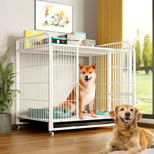 ^ Q[W  - Q[W t ybgQ[W LX^[tybgP[W  Q[W ^ pP[W ybgQ[W  ̃Q[W ̃P[W og[t 