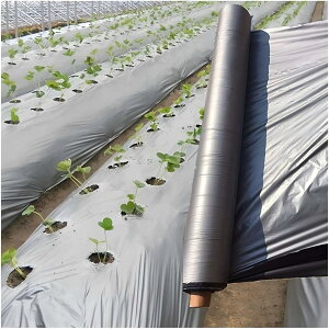 _ƗptB gl͔|p ͔| ۉhV[g hEQh~ A~˃V[g Vo[ PEtB ܂肽݉\ ƒ؉ p _Ǝ hЃToCoV[g