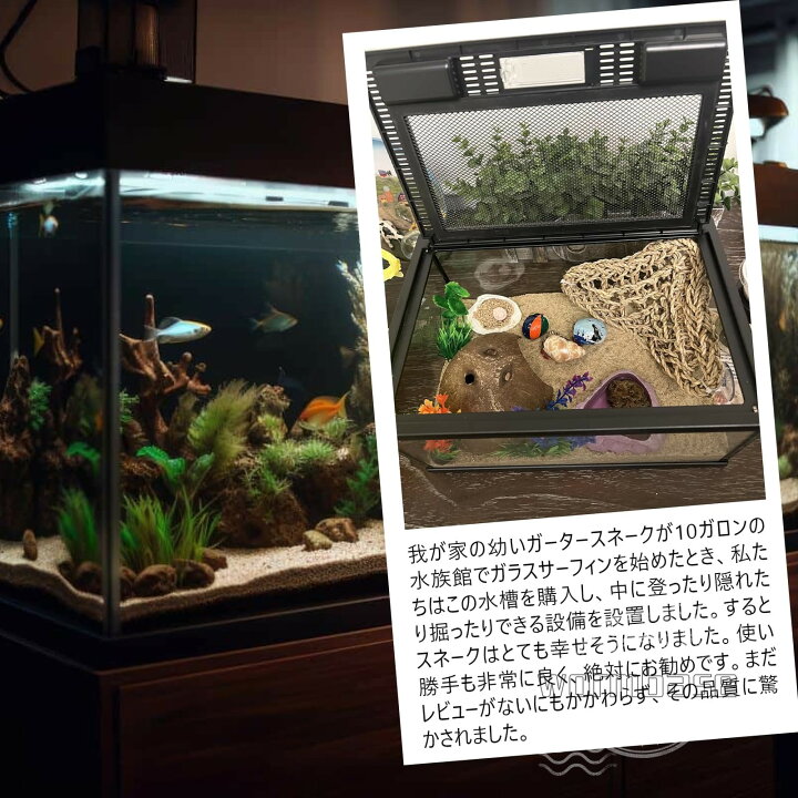 楽天市場】爬虫類飼育ケージ ペット用飼育観賞ケース 飼育ケージ 水槽 