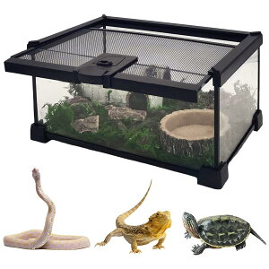 ঒ P[W P[W  gJQ P[W ঒ P[X xxvt ঒ރeE^N P[X  ʋCP[W a eAN Cǂ aP[