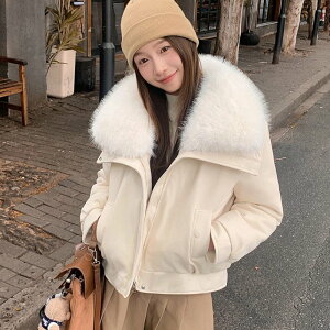 ȃR[g puU[ fB[X t@[t puWPbg _E WPbg R[g H~ AE^[ h ~R[g VbgR[g  t@[ݕt WPbg y HD n h 