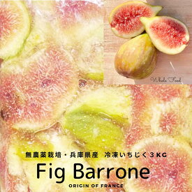 【 六甲山麓の自然育ち 兵庫県産 白いちじく バローネ 冷凍 業務用 チャンク 3Kg 】フランス品種 バローネ いちじく ジェラート アイスクリーム 原料 フルーツピューレ フルーツソース ジャム 無花果 手作りにもどうぞ