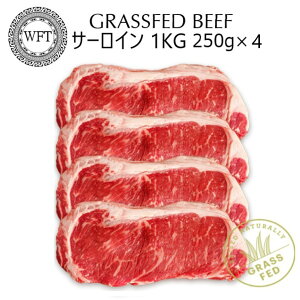 y v~A OXtFbhr[t T[C 1Kg i200g`1Kg) z j[W[hY Xe[Lp  Ԑg Ԑg izsgp Rsgp Silver Fern Farms | Pastureraised