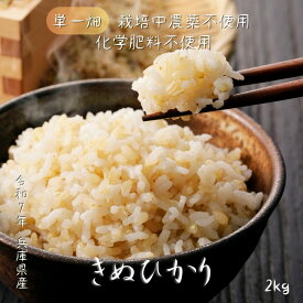 【 お米 きぬひかり 玄米 2Kg 】 兵庫県産 単一原料米 栽培期間中農薬不使用 化学肥料不使用 動物性肥料不使用 除草剤不使用 絹のように白く輝くご飯 コシヒカリよりさらっと 冷めても美味しい