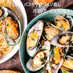 3b_Lx j[W[hY GMCKCy Omega O[VFE}bZ p[iL 500gj k `h z L̏o`ōɎ| [L Greenshell Mussells Parna canaliculus