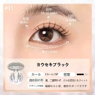 【WOSADO公式ストア】N0.11 ヨウセキブラック マグネットつけまつげ 一体型 収納ボックス 簡単装着 磁石…