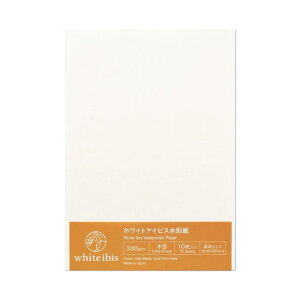 zxC zCgACrXʎ A4Jbg 300g  10×5 263125