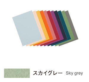 L\ ~E^g V[gpbN |XgJ[hTCY XJCO[ 20×5pbN POST354PA