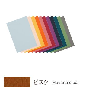 �L�����\�� �~�E�^���g �V�[�g�p�b�N �|�X�g�J�[�h�T�C�Y �r�X�N 20����×5�p�b�N POST502PA