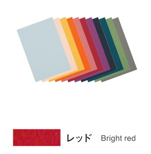 �L�����\�� �~�E�^���g �V�[�g�p�b�N �|�X�g�J�[�h�T�C�Y ���b�h 20����×5�p�b�N POST505PA