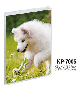 ZLZC ~j|P tHgAo  KG nKL |XgJ[hTCY ^e KP-7005