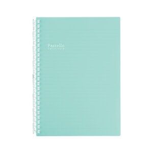 qgu Pastello pXe cCXgm[g A5 S^ CgO[ N-1958-19