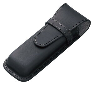 pCbg \X PILOT×SOMES V[X 2{ ubN SLS2-11-B