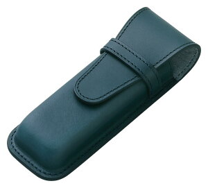 pCbg \X PILOT×SOMES V[X 2{ lCr[ SLS2-11-NV