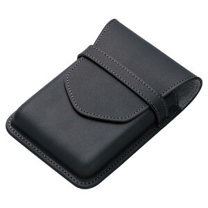 pCbg \X PILOT×SOMES V[X 5{ ubN SLS5-11-B