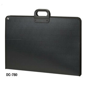 e[W[ fUCP[X A2Ch DC-780