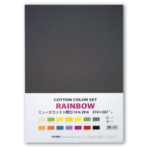 �~���[�Y �R�b�g���J���[�Z�b�g 8�؃T�C�Y ���C���{�[ CCS-RAW