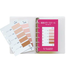 日本色研 肌色カラースケール Skin Color 75 53580