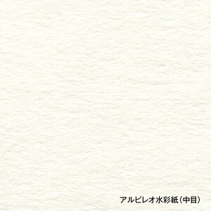 zxC ArIʎ  218g  S 838×1098mm 20 251301