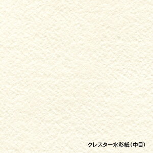 zxC NX^[ʎ  210g   526×846mm 100 251402