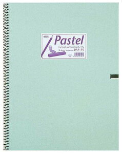 �z���x�C�� �p�X�e���u�b�N PAP-SM 3���� 270311