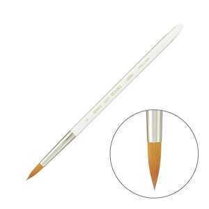 zxC ʕM ʗpZ[u 500R 6 6{ 203704