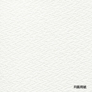 ホルベイン R画用紙 四切 382×542mm 205g 100枚入 252033