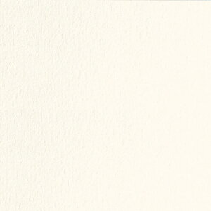 キャンソン エディション アンティーク ホワイト シート 250g/m2 760×1120mm 25枚入 071-504