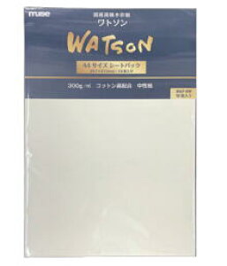 ~[Y pp ʎ g\ 300g  A4Ki 10×5pbN WAP-NW