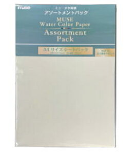 ~[Y pp ʎ A\[ggpbN A4Ki WAP-AS 5pbNZbg