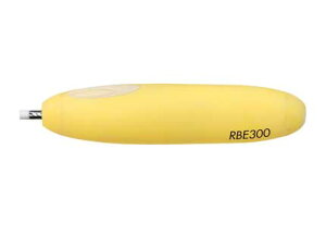 rbg dS RBE300