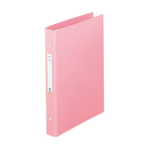 ���q�g���u ���f�B�J���T�|�[�g�u�b�N �X�^���_�[�h ���^ A4 2�� �s���N HB676-5