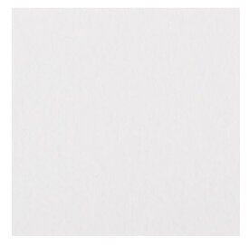 ミューズ 美術用紙 画用紙 ニューTMKポスター 特厚口 225g B4規格 40枚 C