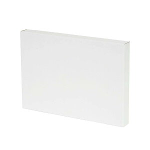 �z���x�C�� �_���{�[���L�����o�X A4 297×210×30mm �� 3���� 151951