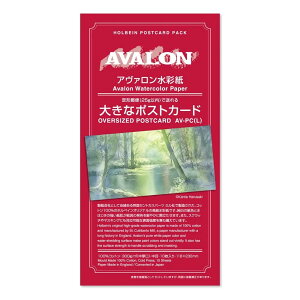 zxC A@ʎ 傫ȃ|XgJ[h AV-PC L 5pbN 270477