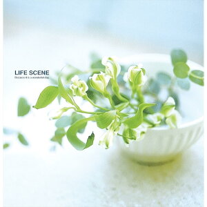 iJoV tGAo L vR[g䎆 CtV[ u[ LPF-1001-B