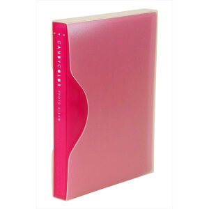 ナカバヤシ キャンディカラー カルバム カラーポケットアルバム 溶着式 L判 2段 80枚 ピンク アカ-CPL-80-P